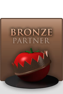 Upgrade to Bronze Partner